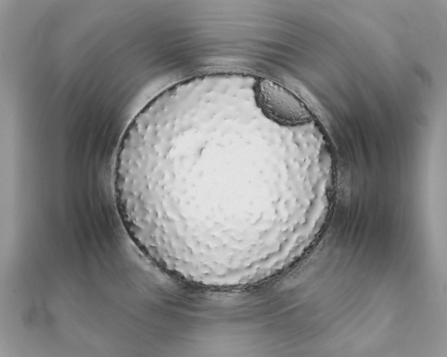 X0000111881386200908131624