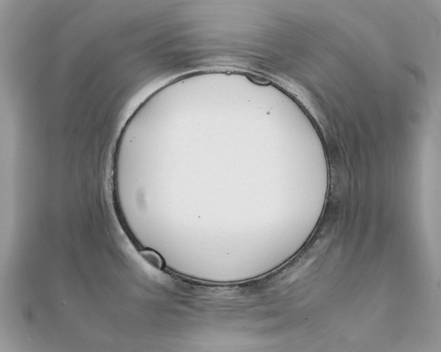 X0000111881387200908131624