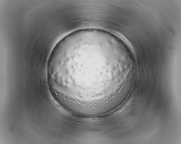 X0000111881388200908131624