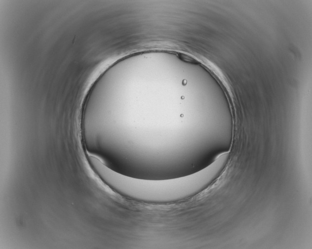 X0000111881389200908131624