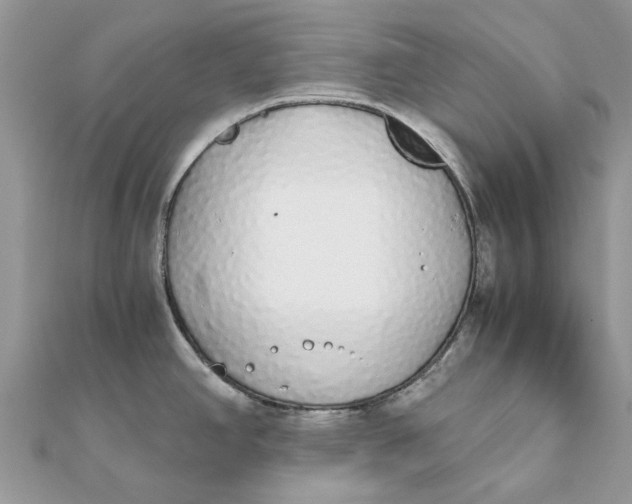 X0000111881390200908131624