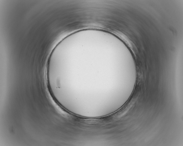 X0000111881391200908131624