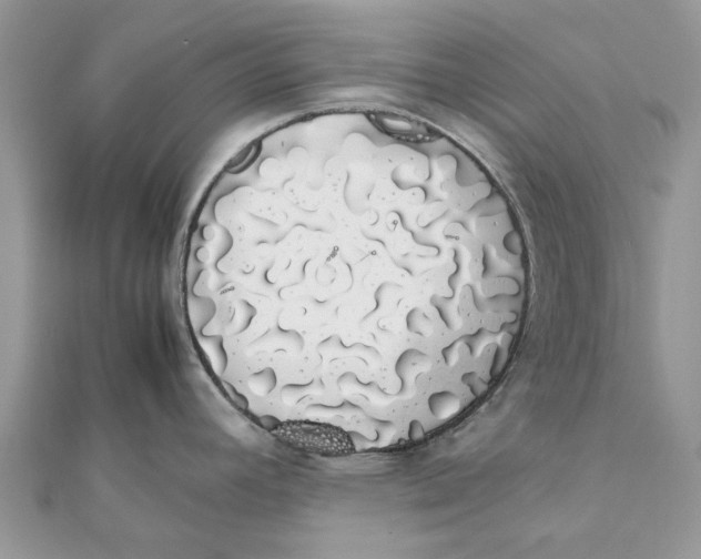 X0000111881392200908131624