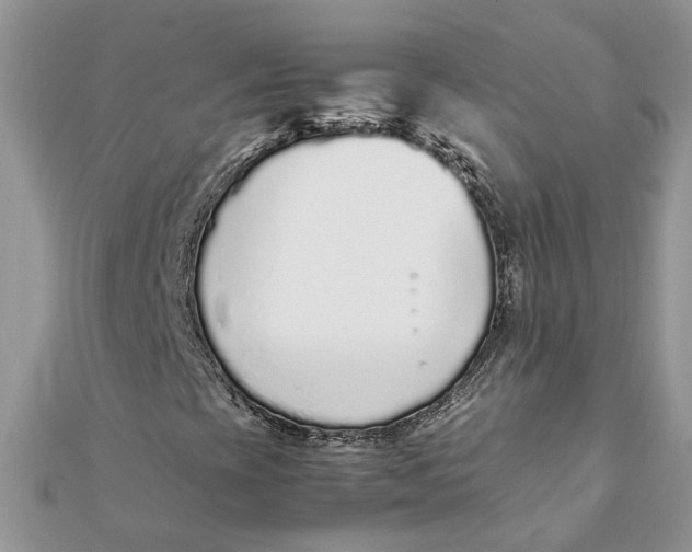 X0000111881393200908131623