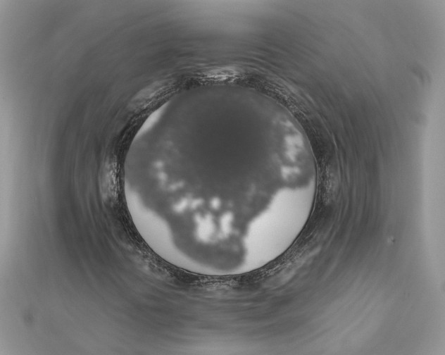 X0000111881394200908131623