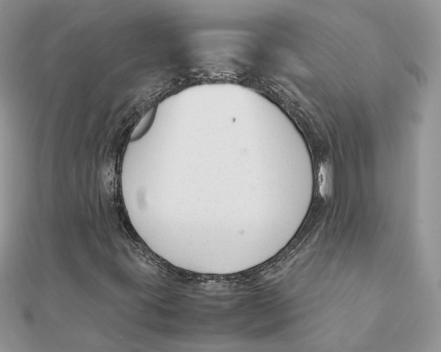 X0000111881395200908131623