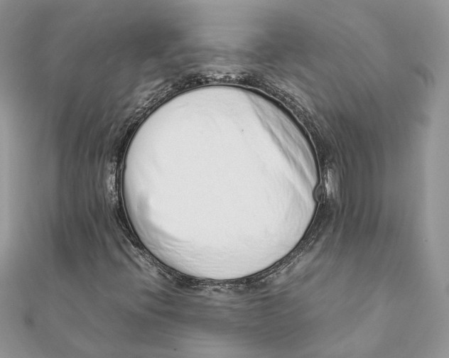 X0000111881396200908131623