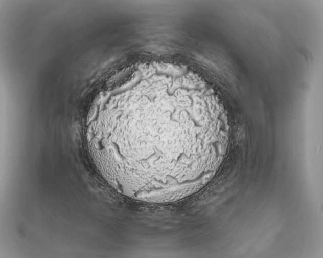 X0000111881397200908131623