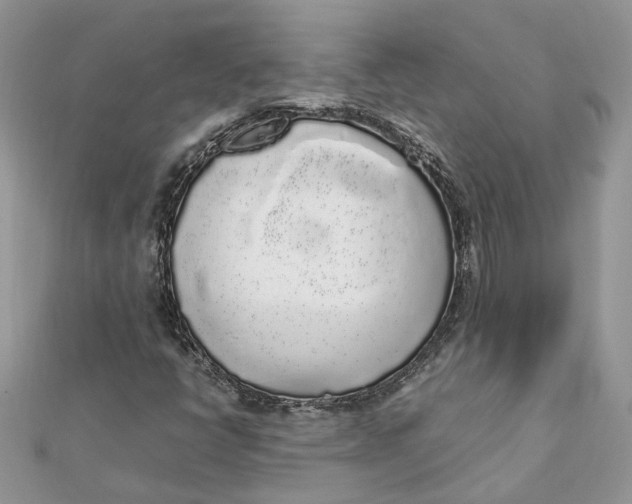 X0000111881398200908131623