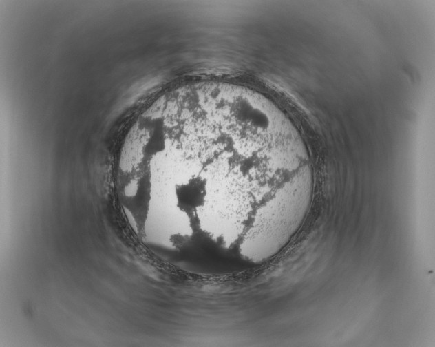 X0000111881399200908131623