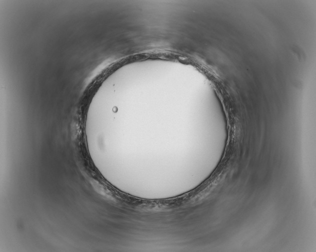 X0000111881400200908131623