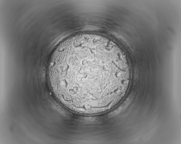 X0000111881401200908131623