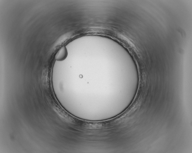 X0000111881403200908131623