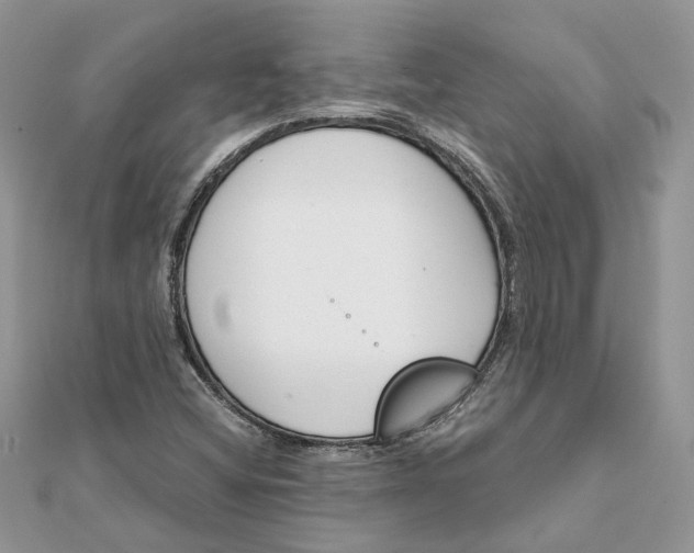 X0000111881404200908131623