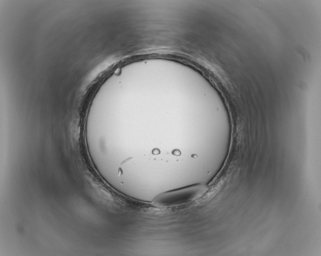 X0000111881406200908131623