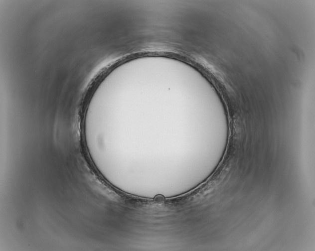 X0000111881408200908131624