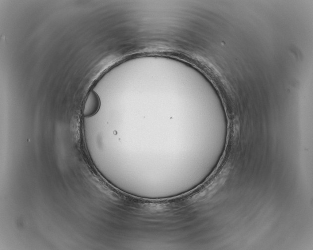 X0000111881409200908131624