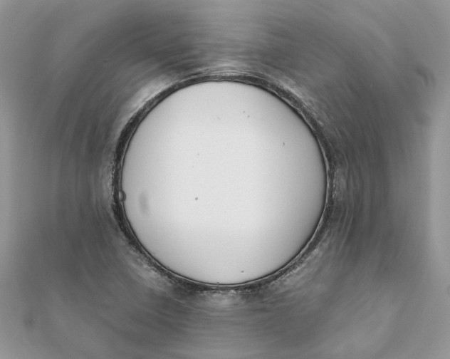 X0000111881410200908131624