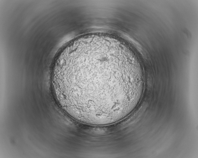 X0000111881411200908131624