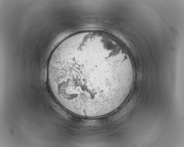 X0000111881413200908131624