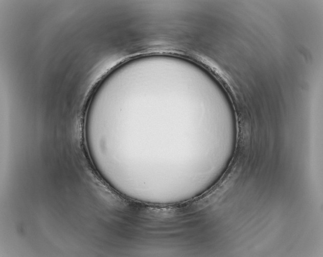 X0000111881415200908131624