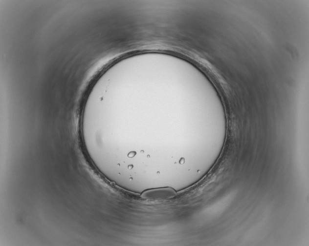 X0000111881416200908131624