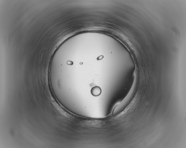 X0000111881417200908131624