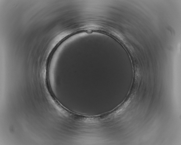 X0000111881418200908131624