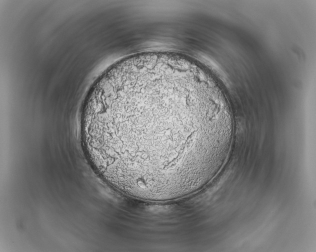 X0000111881419200908131624