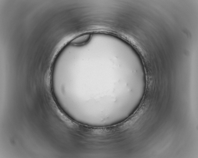 X0000111881421200908131624