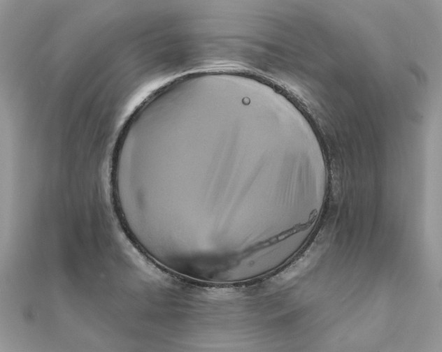 X0000111881422200908131624