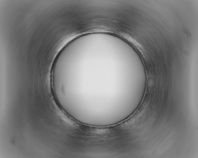 X0000111881423200908131624