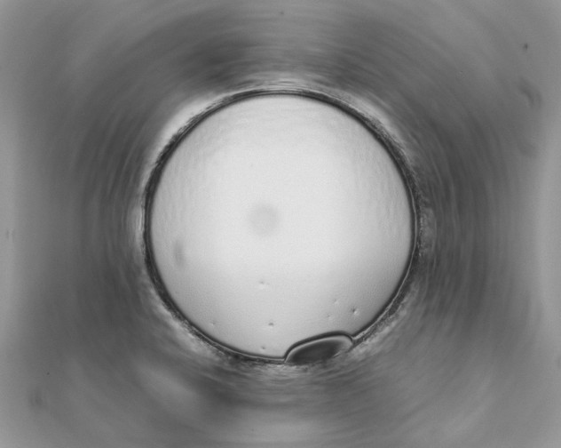 X0000111881424200908131624