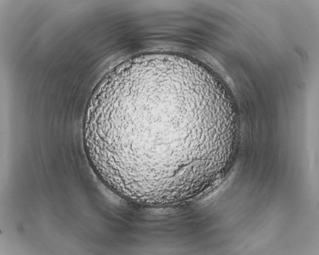 X0000111881425200908131624