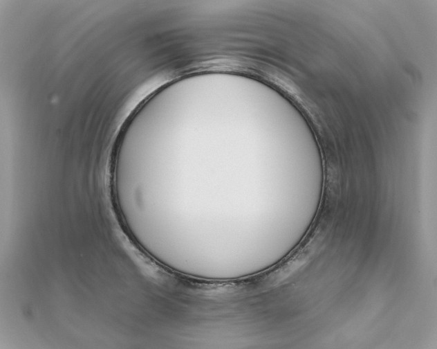 X0000111881426200908131624