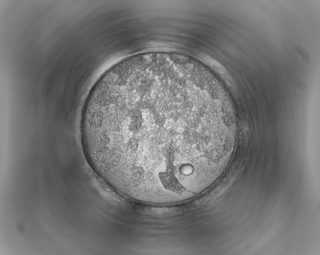 X0000111881427200908131624