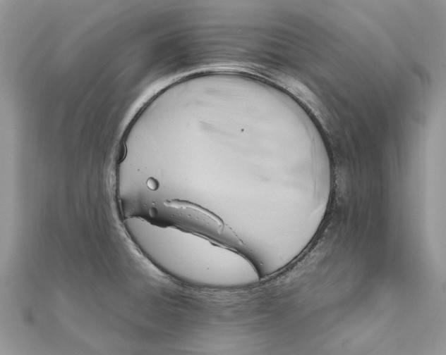 X0000111881428200908131624