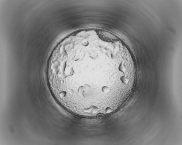 X0000111881429200908131624