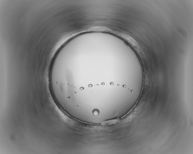 X0000111881430200908131624