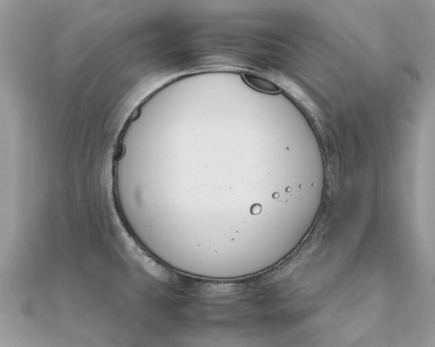 X0000111881431200908131624