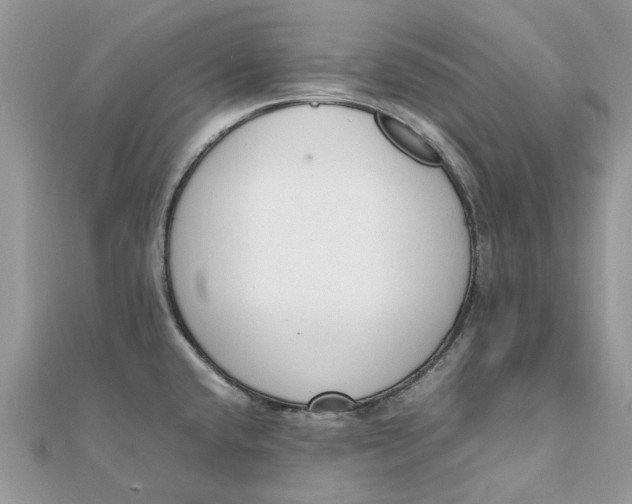 X0000111881432200908131624