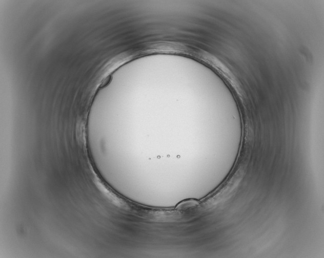 X0000111881433200908131624