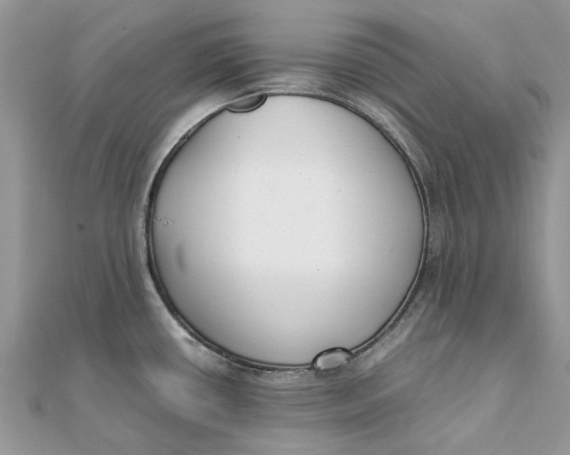 X0000111881434200908131624