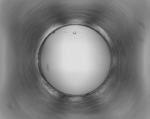 X0000111881435200908131624