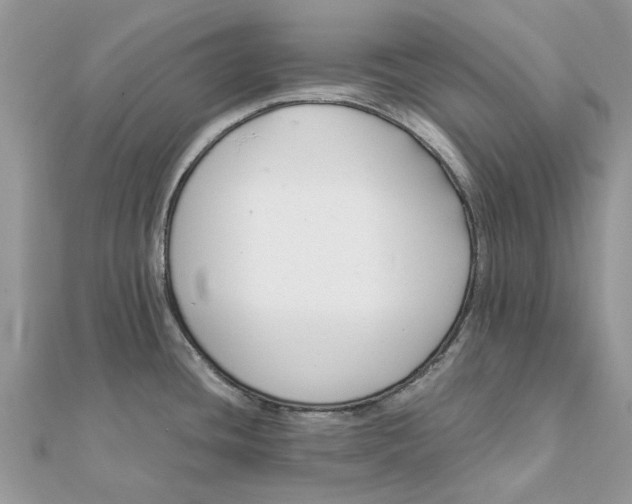 X0000111881436200908131624