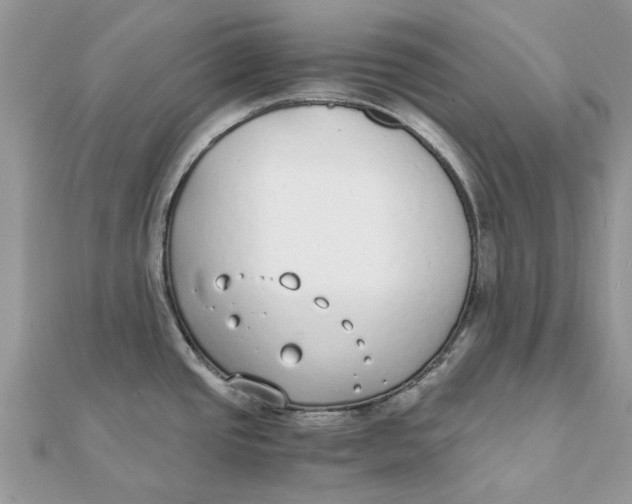 X0000111881437200908131624