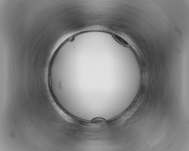 X0000111881438200908131624