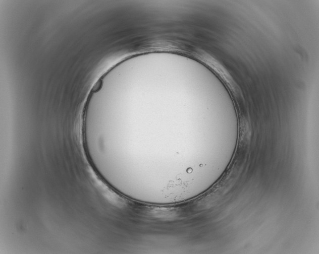 X0000111881439200908131624