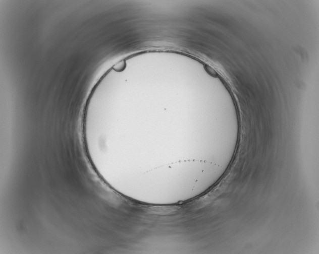 X0000111881440200908131624