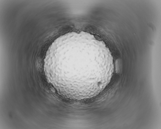 X0000111881443200908131623